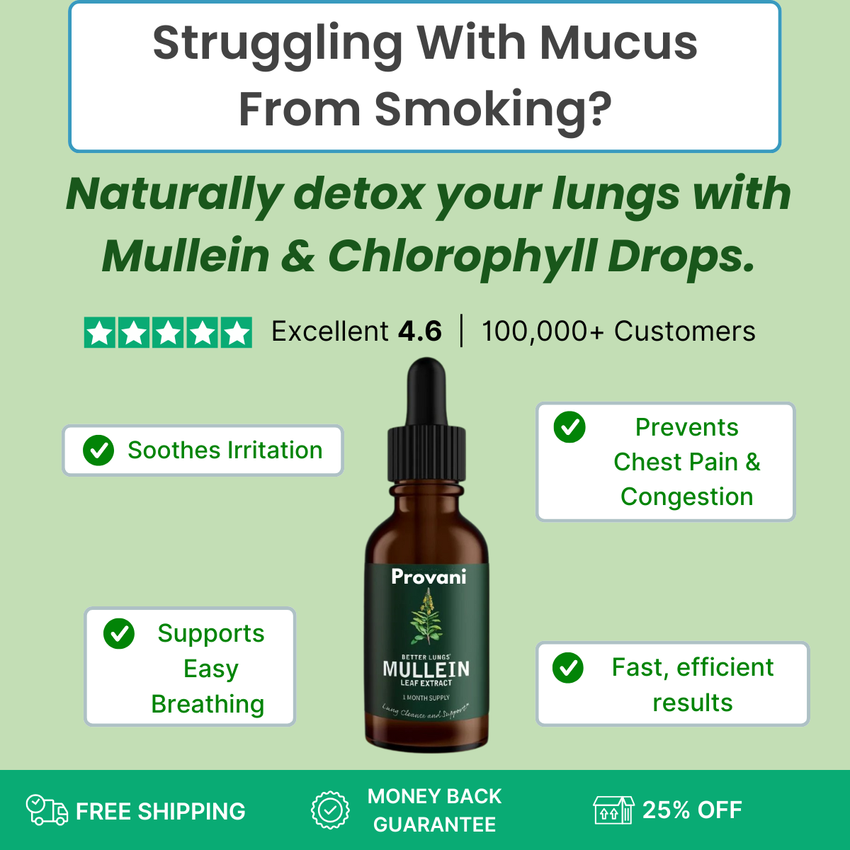 Organic Mullein Leaf Extract + Chlorophyll Drops