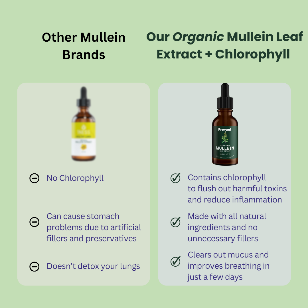 Organic Mullein Leaf Extract + Chlorophyll Drops